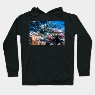 Turtle Under the Ocean Hoodie